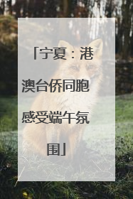 宁夏：港澳台侨同胞感受端午氛围