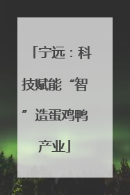 宁远：科技赋能“智”造蛋鸡鸭产业