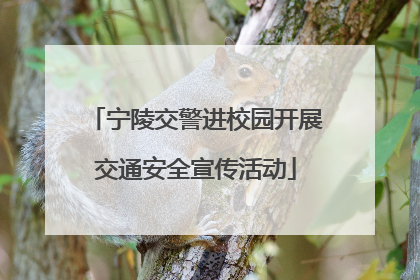宁陵交警进校园开展交通安全宣传活动