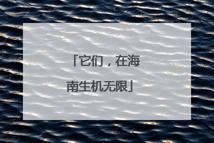 它们，在海南生机无限