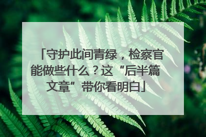 守护此间青绿，检察官能做些什么？这“后半篇文章”带你看明白