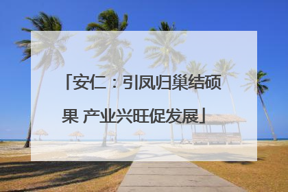 安仁：引凤归巢结硕果 产业兴旺促发展