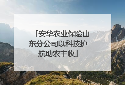 安华农业保险山东分公司以科技护航助农丰收