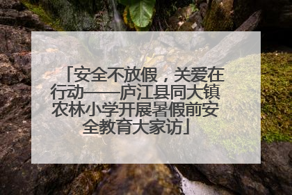 安全不放假，关爱在行动——庐江县同大镇农林小学开展暑假前安全教育大家访