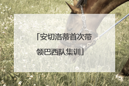 安切洛蒂首次带领巴西队集训