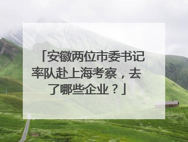 安徽两位市委书记率队赴上海考察，去了哪些企业？
