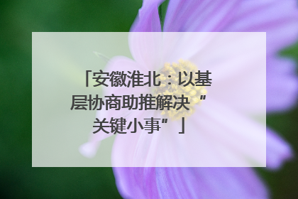 安徽淮北：以基层协商助推解决“关键小事”