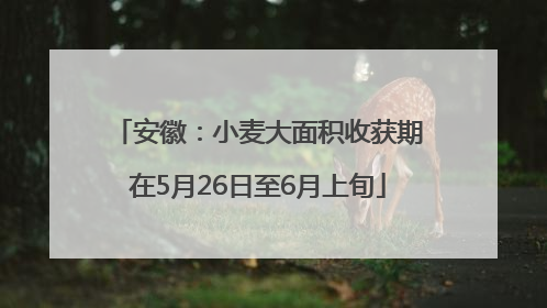 安徽：小麦大面积收获期在5月26日至6月上旬