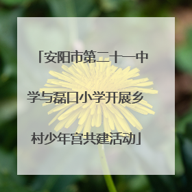 安阳市第二十一中学与磊口小学开展乡村少年宫共建活动