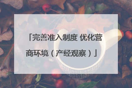 完善准入制度 优化营商环境（产经观察）
