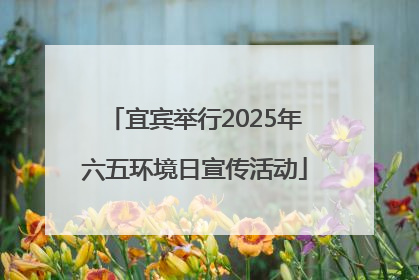 宜宾举行2025年六五环境日宣传活动