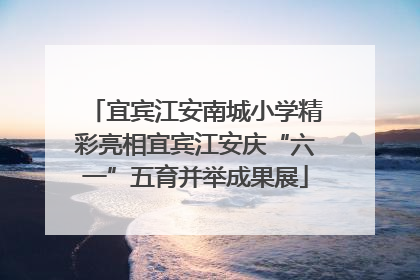 宜宾江安南城小学精彩亮相宜宾江安庆“六一”五育并举成果展
