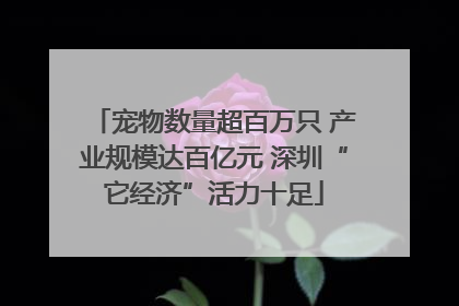 宠物数量超百万只 产业规模达百亿元 深圳“它经济”活力十足