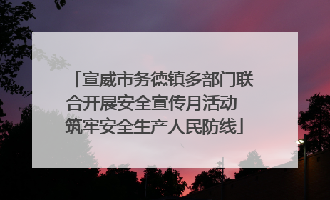 宣威市务德镇多部门联合开展安全宣传月活动 筑牢安全生产人民防线