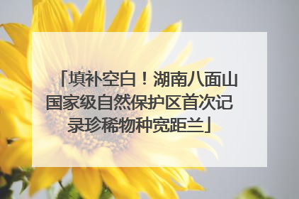 填补空白！湖南八面山国家级自然保护区首次记录珍稀物种宽距兰