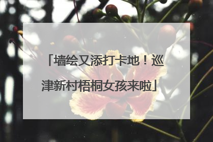 墙绘又添打卡地！巡津新村梧桐女孩来啦
