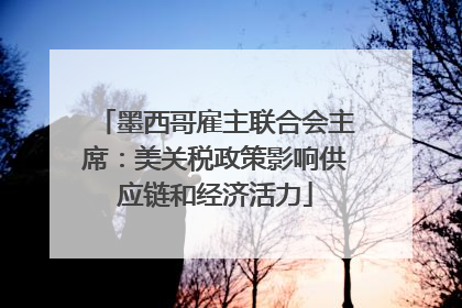 墨西哥雇主联合会主席：美关税政策影响供应链和经济活力