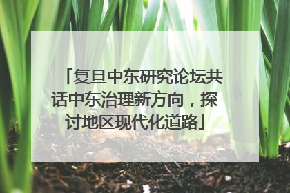 复旦中东研究论坛共话中东治理新方向，探讨地区现代化道路