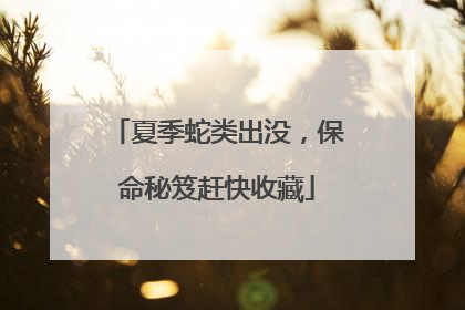 夏季蛇类出没，保命秘笈赶快收藏
