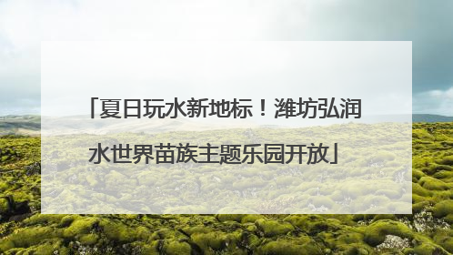 夏日玩水新地标！潍坊弘润水世界苗族主题乐园开放
