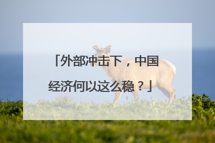 外部冲击下，中国经济何以这么稳？