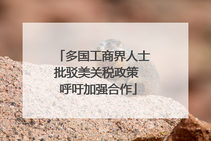 多国工商界人士批驳美关税政策 呼吁加强合作