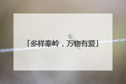 多样秦岭，万物有爱
