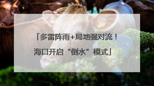 多雷阵雨+局地强对流！海口开启“倒水”模式
