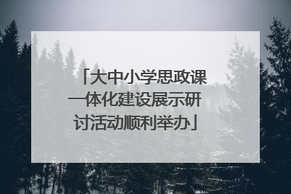 大中小学思政课一体化建设展示研讨活动顺利举办