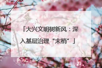 大兴文明树新风：深入基层治理“末梢”
