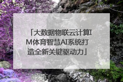 大数据物联云计算IM体育智慧AI系统打造全新关键驱动力