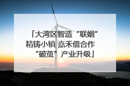 大湾区智造“联姻”精铸小镇 嘉禾借合作“破茧”产业升级