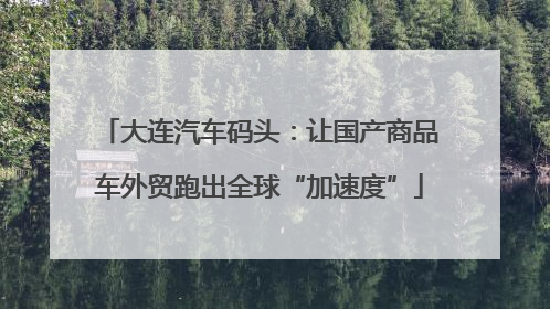 大连汽车码头：让国产商品车外贸跑出全球“加速度”