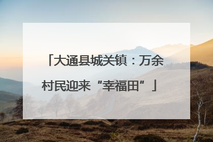 大通县城关镇：万余村民迎来“幸福田”