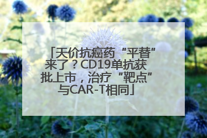 天价抗癌药“平替”来了？CD19单抗获批上市，治疗“靶点”与CAR-T相同