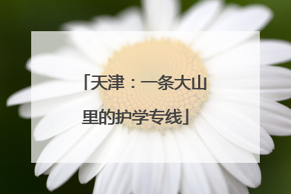 天津：一条大山里的护学专线