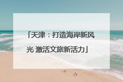 天津：打造海岸新风光 激活文旅新活力