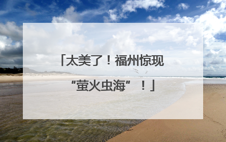 太美了！福州惊现“萤火虫海”！