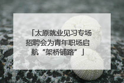 太原就业见习专场招聘会为青年职场启航“架桥铺路”