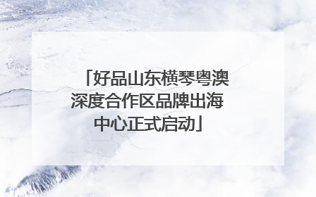 好品山东横琴粤澳深度合作区品牌出海中心正式启动