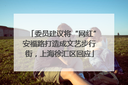 委员建议将“网红”安福路打造成文艺步行街，上海徐汇区回应
