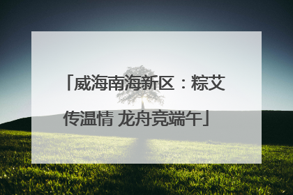 威海南海新区：粽艾传温情 龙舟竞端午