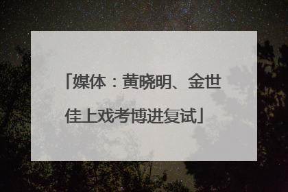 媒体：黄晓明、金世佳上戏考博进复试
