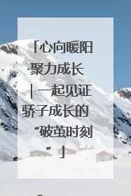 心向暖阳·聚力成长｜一起见证骄子成长的“破茧时刻”