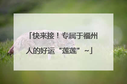 快来接！专属于福州人的好运“莲莲”~