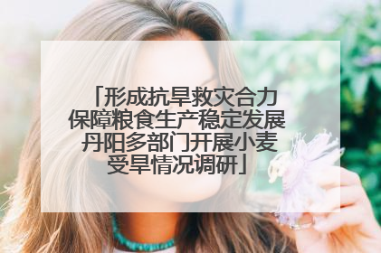 形成抗旱救灾合力 保障粮食生产稳定发展 丹阳多部门开展小麦受旱情况调研