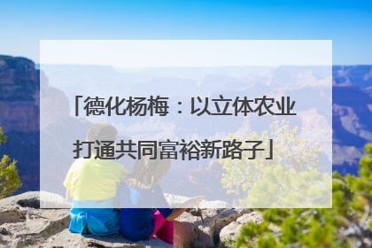 德化杨梅：以立体农业打通共同富裕新路子