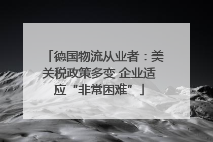 德国物流从业者：美关税政策多变 企业适应“非常困难”