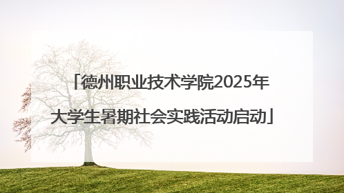 德州职业技术学院2025年大学生暑期社会实践活动启动