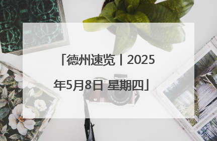 德州速览丨2025年5月8日 星期四